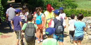 Campamentos de verano en Segovia